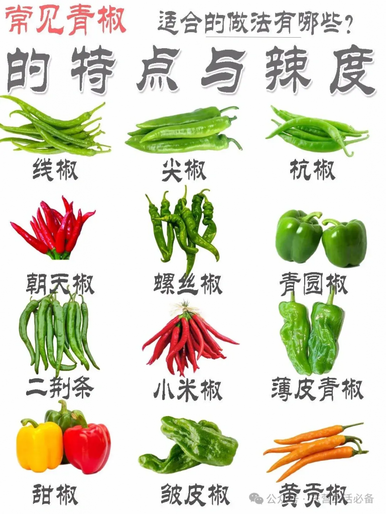 常见辣椒品种特点及辣度-刘大厨